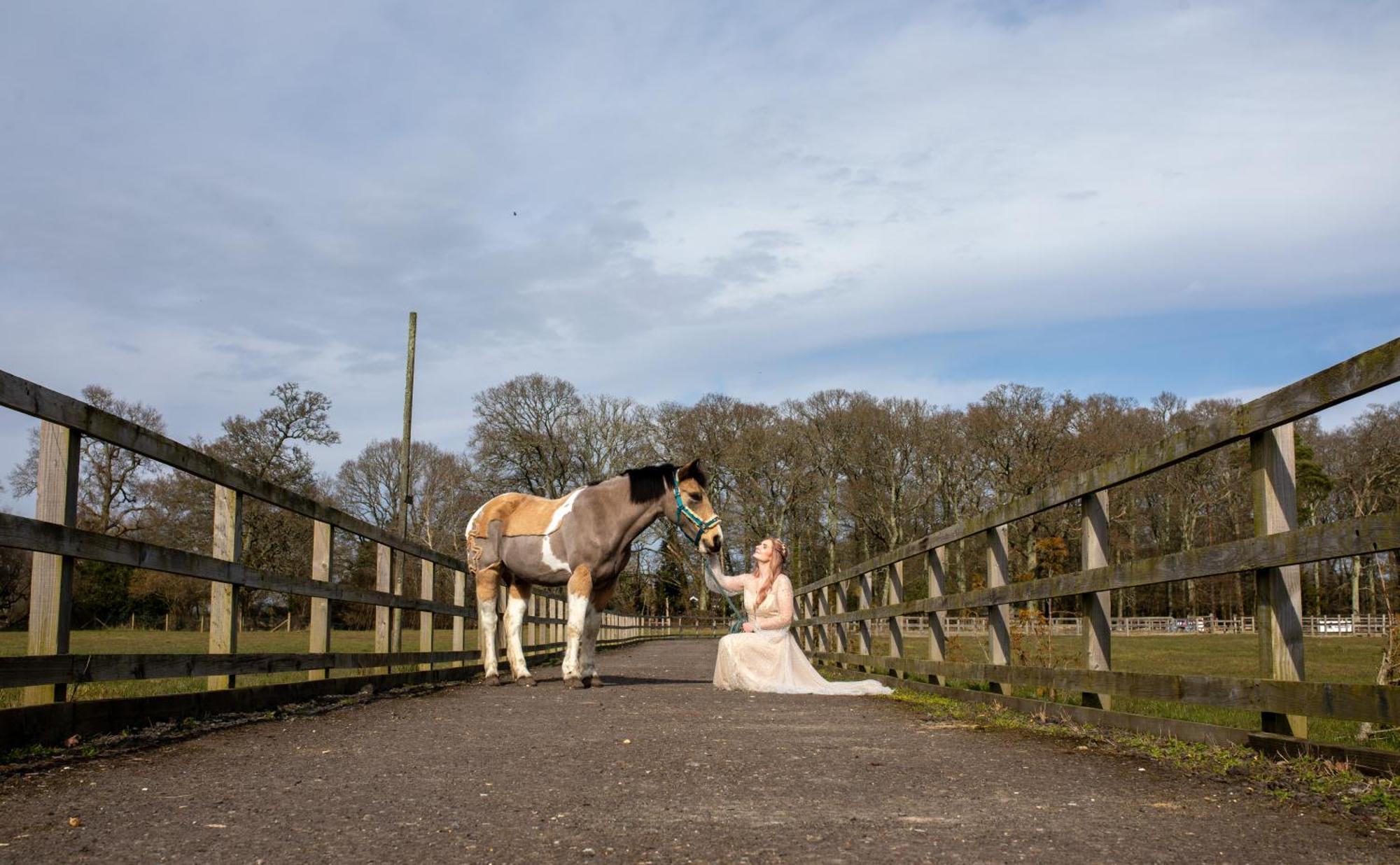 Langford Farmhouse - New Forest National Park Luxury 4Bd, Hot Tub, Cinema, 10 Acres Bartley Exterior foto